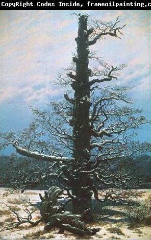 Caspar David Friedrich The Oak Tree in the Snow